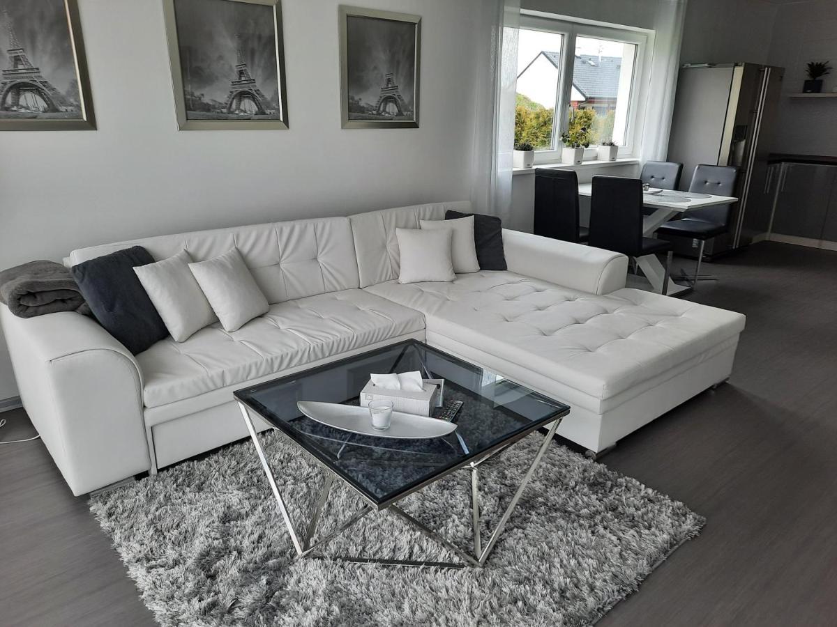 Apartman Ela Skalná Εξωτερικό φωτογραφία