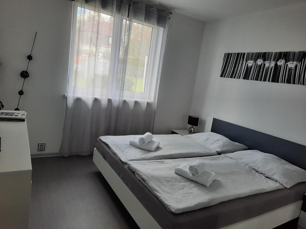 Apartman Ela Skalná Εξωτερικό φωτογραφία