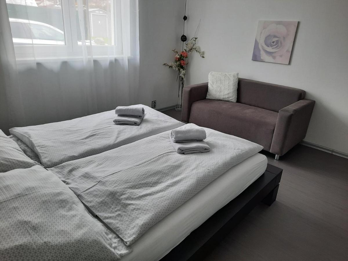 Apartman Ela Skalná Εξωτερικό φωτογραφία
